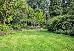 Optimiser l'expérience du jardin à Saint-Roch-sur-Egrenne